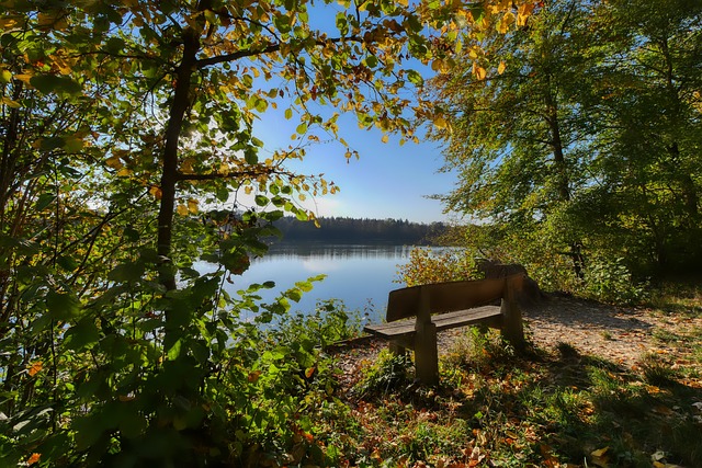 篮球火箭球员赛后接受采访分享心得